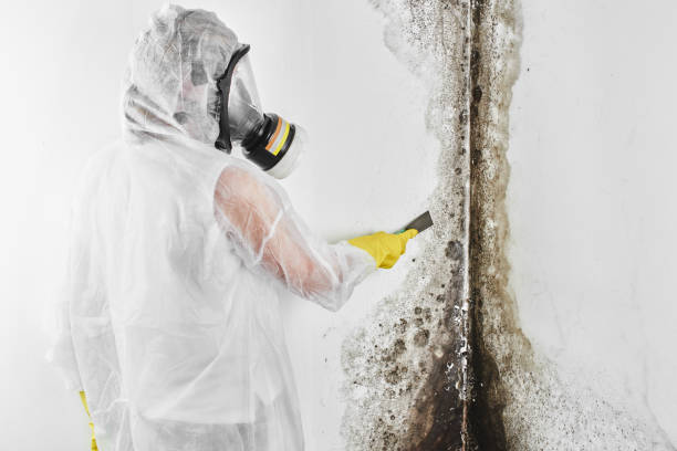 Water Damage Restoration in Buchanan, VA