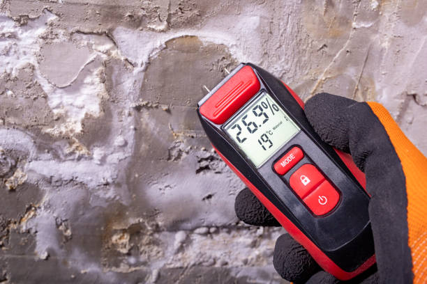 Mold Removal and Inspection in Buchanan, VA