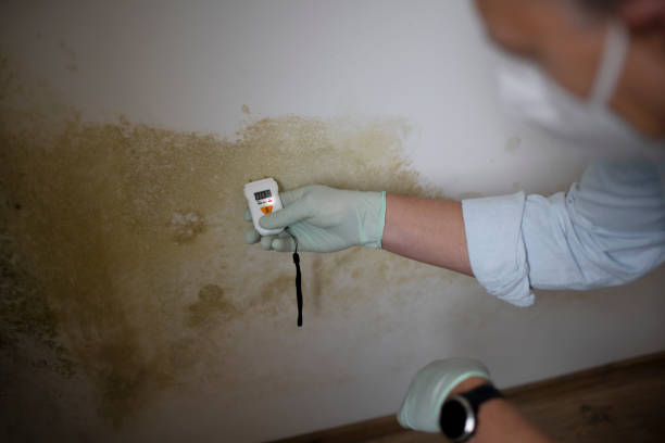 Best Water Damage Restoration  in Buchanan, VA