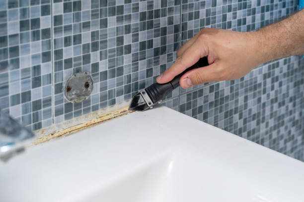 Best Fast Mold Removal  in Buchanan, VA
