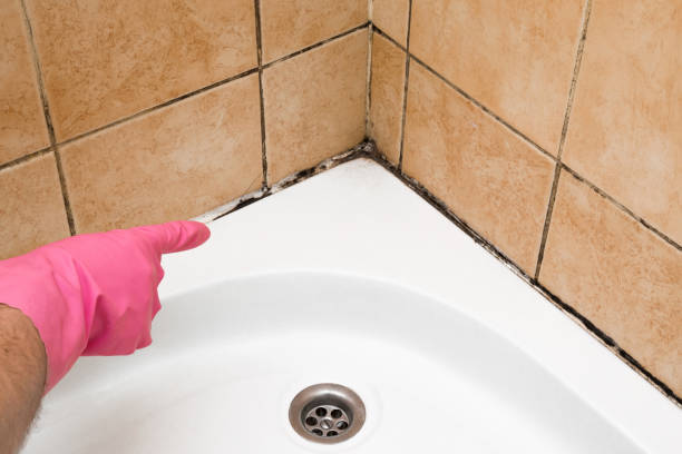 Best Mold Testing  in Buchanan, VA